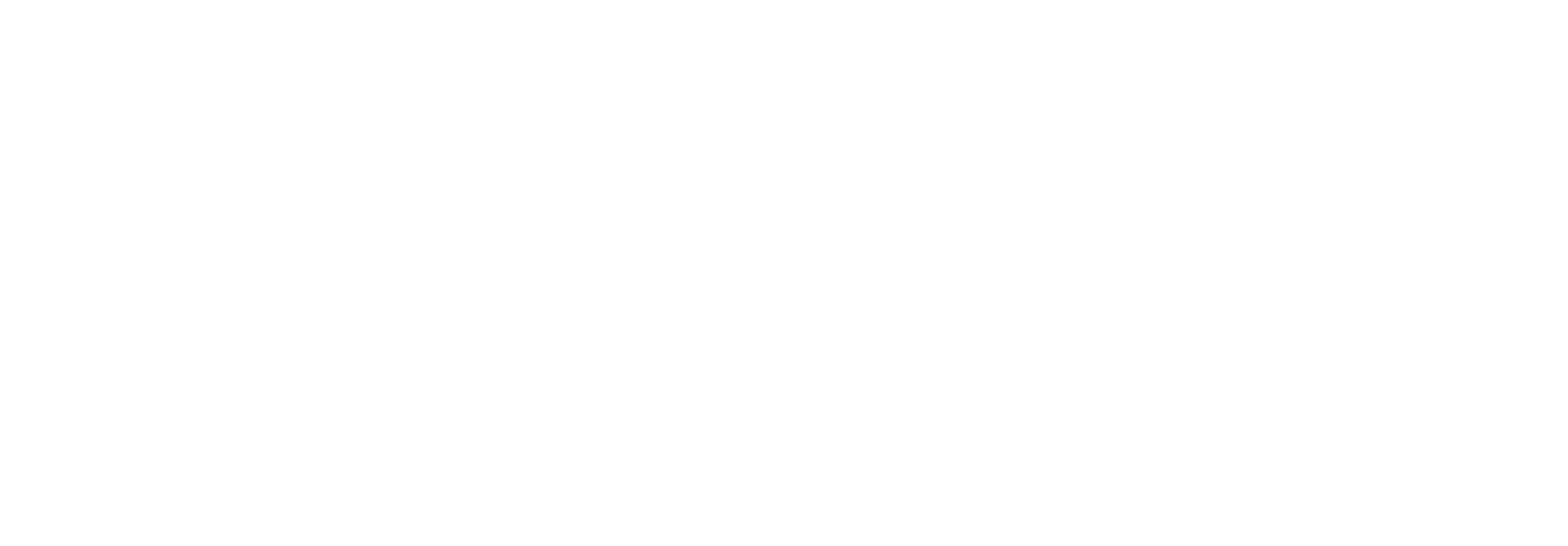 The University of Chicago
